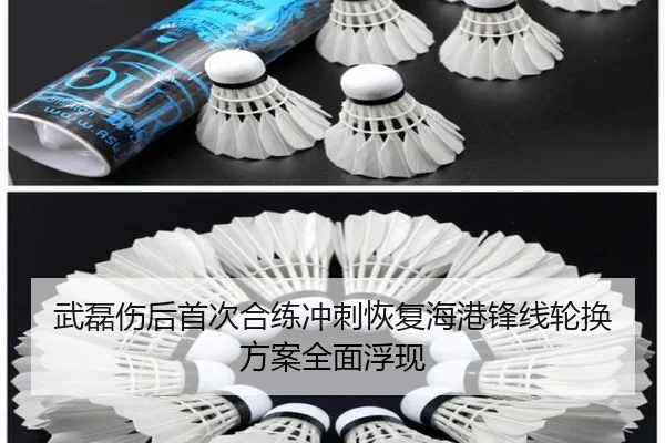 武磊伤后首次合练冲刺恢复海港锋线轮换方案全面浮现（www.jiuyou..comapp）