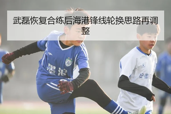 武磊恢复合练后海港锋线轮换思路再调整（www.jiuyou..comapp）